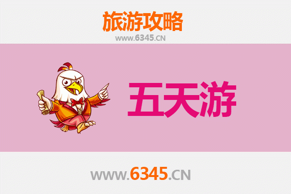 中卫五天四夜深度游攻略：沙漠星空与黄河古韵的完美之旅